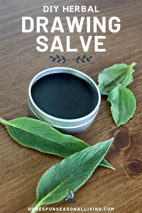 DIY herbal drawing salve is great for helping with injuries that include splinters, boils, and bug bites. This easy natural recipe for drawing salve is definitely one you want to have on hand to help with those times when tweezers just won't help. Grab your recipe and make this simple herbal remedy today. #diy #herbal #herbalremedies #naturalremedies #recipes Gallbladder Health, Drawing Salve, Coldsore Remedies Quick, Salve Recipes, Seasonal Living, Cold Sores Remedies, Natural Healing Remedies, Natural Health Care, Herbal Products