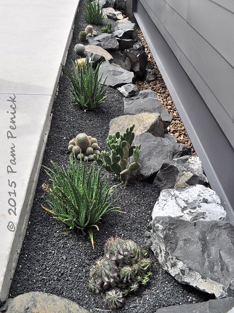 Gravel Landscaping, Dry Garden, Gravel Garden, Rock Garden Landscaping, Outdoor Gardens Design, Backyard Garden Design, Garden Pathway, Front Yard Landscaping Design, Landscaping With Rocks