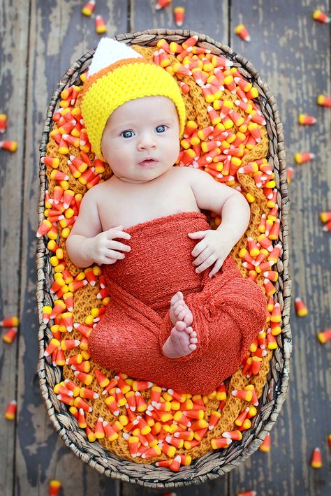 Fall candy corn infant photography - The Arbitrary Fox Fall Baby Picture Ideas, Halloween Baby Pictures, Baby Picture Ideas, Fall Baby Photos, Baby Holiday Photos, Baby Milk Bath, Fall Baby Pictures, Photo Bb, Baby Milestones Pictures