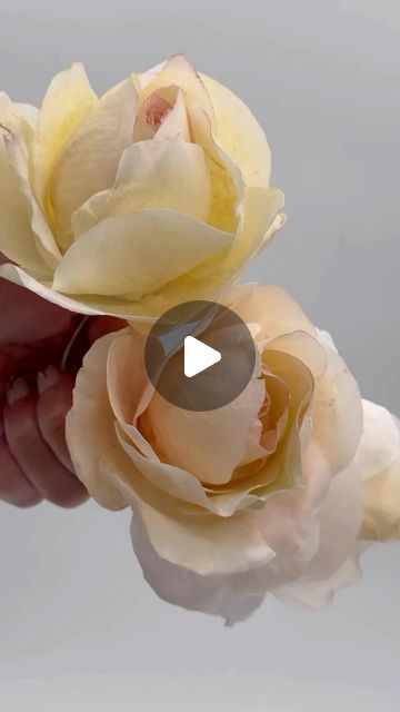 Paper Flower Video, Sugar Flowers Tutorial, Fondant Flower Tutorial, Rose Molds, Big Wedding Cakes, Wafer Paper Flowers, Brides Basket, Baby Shower Table Decorations, Making Fabric Flowers