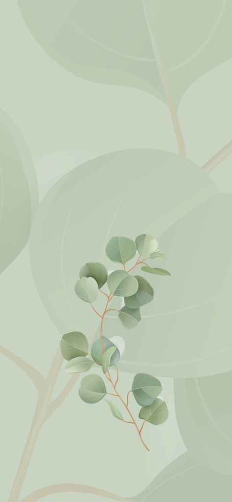 Aesthetic Pastel Green Wallpaper, Long Wallpaper, Leaves Wallpaper Iphone, Waves Wallpaper Iphone, Tom Pastel, Sage Green Wallpaper, Floral Cards Design, Iphone Wallpaper Stills, Cute Mobile Wallpapers