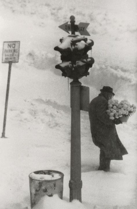 W. Eugene Smith, First Day of Spring (from As From My Window I Sometimes Glance) W Eugene Smith, Tina Modotti, Eugene Smith, Spring In New York, Walker Evans, Gordon Parks, Old Photography, Photographer Portfolio, First Day Of Spring