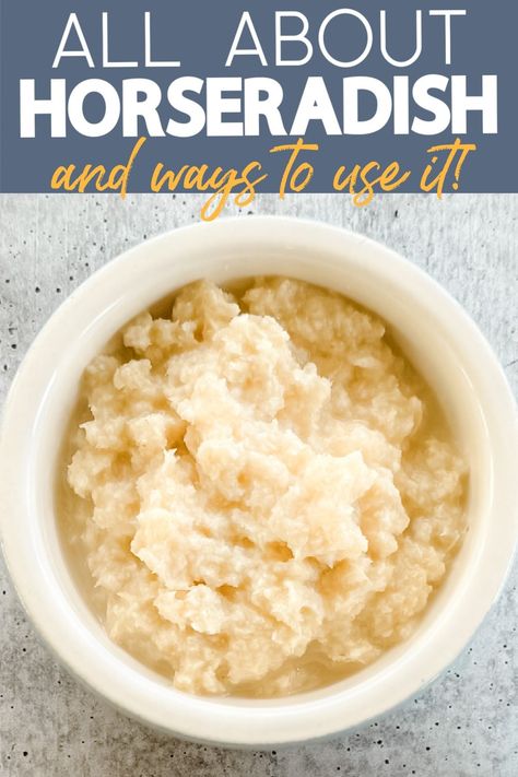 What Is Horseradish? Fresh Horseradish Sauce, Horseradish Dishes, Fresh Horseradish Recipes, How To Make Horseradish, Homemade Russian Dressing, Roast Beef And Horseradish, Homemade Horseradish, Horseradish Recipes, Horseradish Cream Sauce