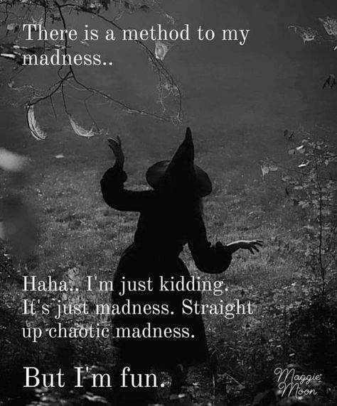 Author Maggie Moon Witch Quotes, Funny Horror, Witch Magic, Dark Soul, Soul Quotes, Crazy Life, Witchy Woman, Just Kidding, The Villain