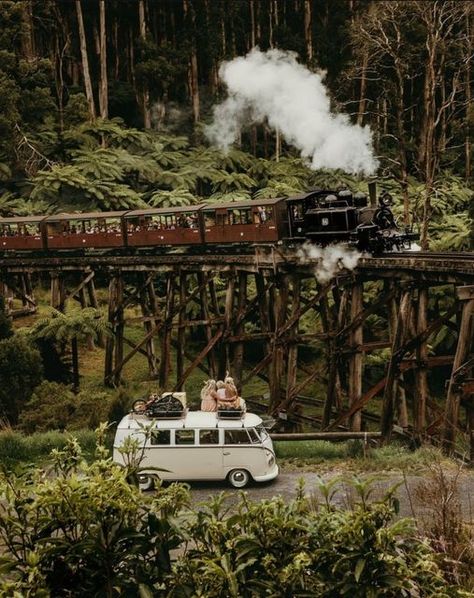 Puffing Billy, Vanlife Travel, Dandenong Ranges, Trestle Bridge, Old Steam Train, Adventure Ideas, Yarra Valley, Steam Train, Train Tickets