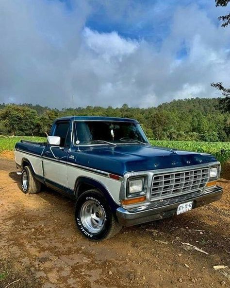 1973 Ford Truck, 90s Pickup Truck, 80s Pickup Truck, 80s Ford Trucks, 1980 Ford Truck, Old Ford Trucks F100, Ford 1979 Pickup, Old Ford Trucks Vintage, Old Trucks Vintage