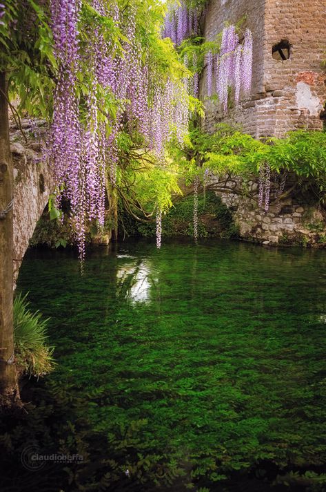 ninfa garden italy Nature, Garden Italy, Underwater Plants, Famous Gardens, Italian Garden, Romantic Garden, Scenic Landscape, Wisteria, Dream Garden