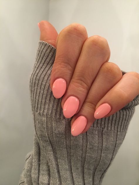 Summer Color Almond Nails, Sold Color Almond Nails, Salon Dip Nail Colors, Simple Peach Nails, Summer Gel Nails Colors Simple, Nail Inspo Basic Color, Nails For A Vacation, Single Color Almond Nails, Oval Nails One Color