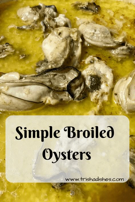 Simple Broiled Oysters Recipe | Trisha Dishes | Romantic Dinner Recipe | Appetizer Recipe | Seafood Recipe Broiled Oysters Recipe, Broiled Seafood, Baked Oyster Recipes, Oyster Stew Recipes, Broiled Oysters, Baked Oysters, Cooked Oysters, Oyster Stew, Grilled Oysters