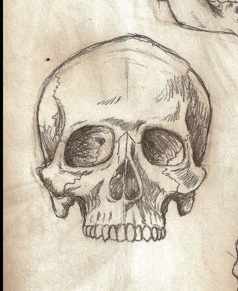 رسم كاريكاتير, Skull Sketch, Skeleton Drawings, Arte Sketchbook, Arte Inspo, Art Drawings Sketches Creative, Anatomy Art, Book Art Drawings, Art Tutorials Drawing