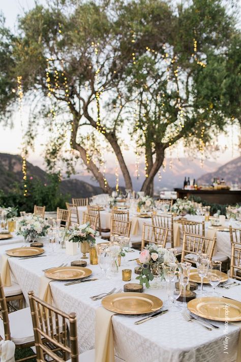 Rustic outdoor wedding reception | gold wedding theme | Pretty fairy lights #weddingreception #reception #weddingdecor Wedding Cake Designs, Vineyard Wedding, Table Arrangements Wedding, Outdoor Wedding Reception, Wedding Table Settings, Table Arrangements, Dreamy Wedding, Wedding Planners, Event Styling