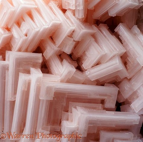 Salt crystals coloured pink by carotine from organisms in the water in which the crystals grew.  Namibia Restaurant Graphics, Moon Projects, Crystal Photography, Growing Crystals, Salt Crystals, The Crystals, Scale Drawing, Object Drawing, Salt Crystal