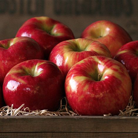 honey-crisp-apples Country Kitchen Decorating, Honeycrisp Apple, Apples To Apples, Fruit Company, Apple 7, Apple Baskets, Honeycrisp Apples, Fruit Gifts, Gourmet Gift Baskets