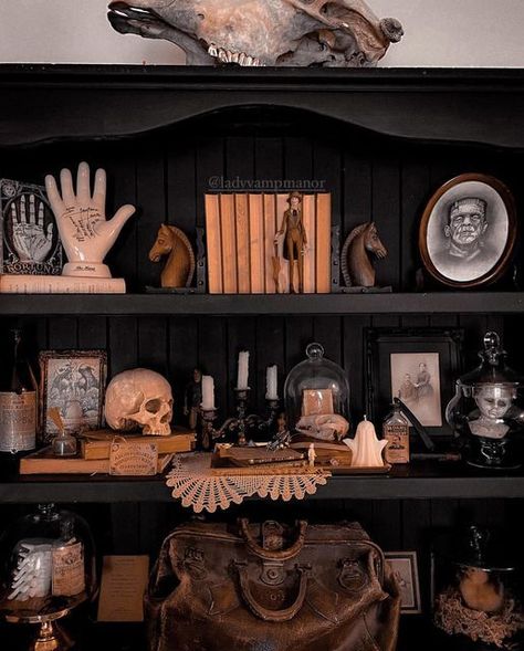 Coffin Halloween Decoration, Gothic Apothecary Decor, Oddities Shelf Ideas, Goth Bookshelf Decor, Spooky Apothecary Display, Diy Coffin Mirror, Goth Shelf Decor, Halloween Curio Cabinet, Apothecary Aesthetic Bedroom