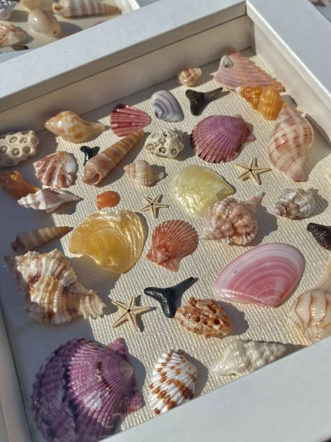 Seashell collage- #Collage #Seashell Check more at https://howcandothis.com/diyideas/seashell-collage/ Shells In Shadow Boxes, Seashell Collage Art, What To Do With Shells From The Beach, Art With Shells, Shells Aesthetic, Shell Collage, Seashell Collage, Shell Pictures, Pretty Shells