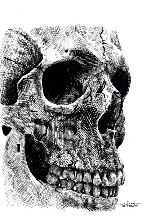 Ink Cross Hatching Art, Cross Hatching Skull, Skull Shading Drawing, Ink Skull Drawing, Pen Hatching Drawing, Skull Ink Art, Cross Hatching Techniques, Skull Crosshatching, Skull Ink Drawing