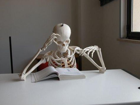 skeleton studying | Skeleton studying | Flickr - Photo Sharing! Law School Humor, Mister V, Legal Humor, Law Quotes, Medical Wallpaper, A Skeleton, Funny Profile, School Memes, Law Student