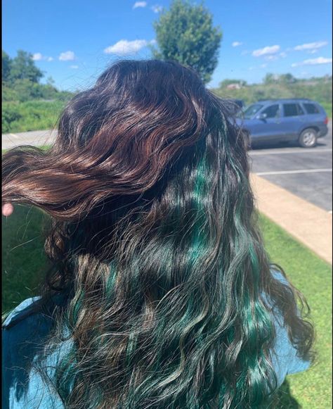 Turquoise Peak A Boo Hair, Brown And Aqua Hair, Curly Died Hairstyles, Teal Highlights In Black Hair, Teal Highlights In Brown Hair, Teal Hair Streaks, Peak A Boo Hair Color, Peak A Boo Hair, Teal Hair Highlights