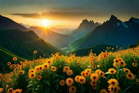 Landscape Images Horizontal, Flower Wallpaper Desktop Hd, Ipad Landscape Wallpaper, Wallpapers Sunflowers, Mountain Wallpaper Desktop, Wallpaper Backgrounds Horizontal, Desktop Flower Wallpaper, Macbook Wallpaper High Quality Landscape, Nature Background Hd