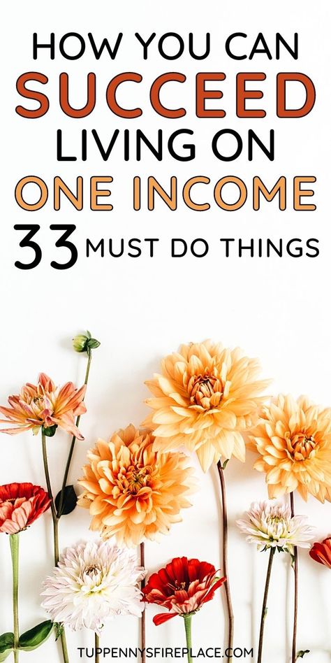 How To Live On One Income, Living On One Income, How To Live Cheap, Single Income Budget, How To Live Frugal, Live On One Income, Frugal Habits, Budget Living, Saving Money Frugal Living