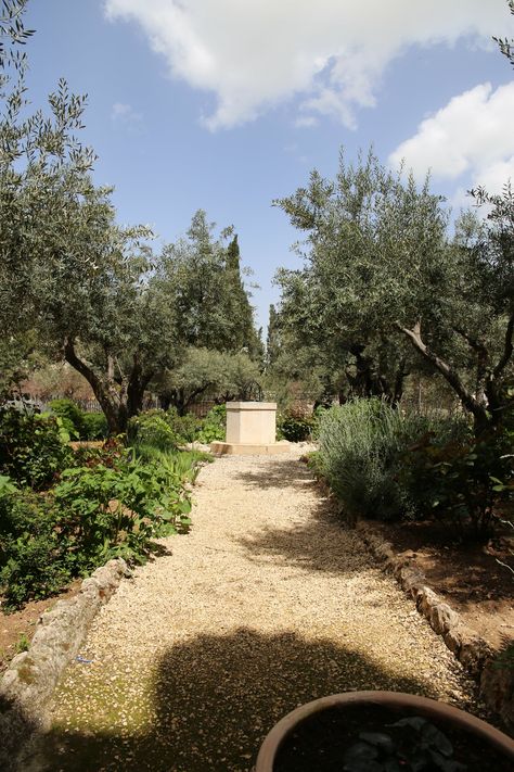 https://flic.kr/p/2fJx48W | IMG_9768 |  Garden of Gethsemane Garden Of Gethsemane, Country Roads, New Homes