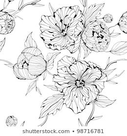 Wedding Botanical Flowers Garden Spring Plant Stock Vector (Royalty Free) 1071867923 Good Sketches, Flower Line Drawings, Flowers Illustration, Black And White Background, Flower Coloring Pages, Zen Art, Botanical Illustrations, Seamless Background, Art Icon