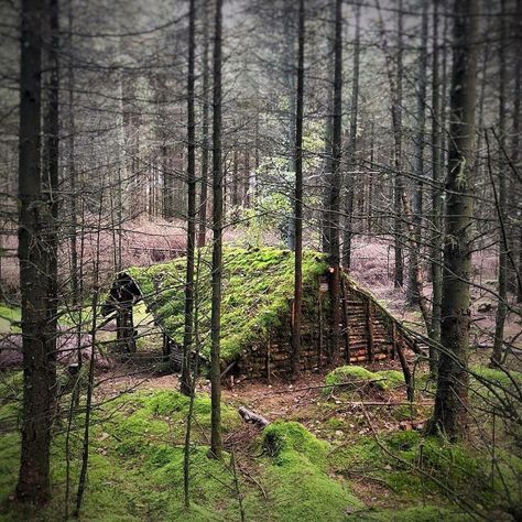 Wood Forts In The Woods, Fort In Woods, Forts In The Woods, Shelter In The Woods, Shelters In The Woods, Diy Woodland, Bushcraft Shelter, Tree Fort, Camping Shelters