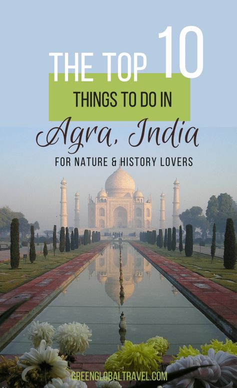 Check out this great guide to the Top 10 Things To Do In Agra, India for nature & history lovers. Includes visiting the Agra Bear Rescue Facility, Taj Mahal, Agra Red Fort, Mehtab Bagh Garden, Elephant Conservation & Care Center, Akbar's Tomb, Jama Masjid, Buland Darwaza & Fatehpur Sikri, and more! | Agra India | Agra India Travel | India Travel Tips | India Travel Places | via @greenglobaltrvl Buland Darwaza, India Taj Mahal, India Travel Places, Backpacking India, India Travel Guide, Taj Mahal India, Red Fort, Agra India, Travel Destinations Asia