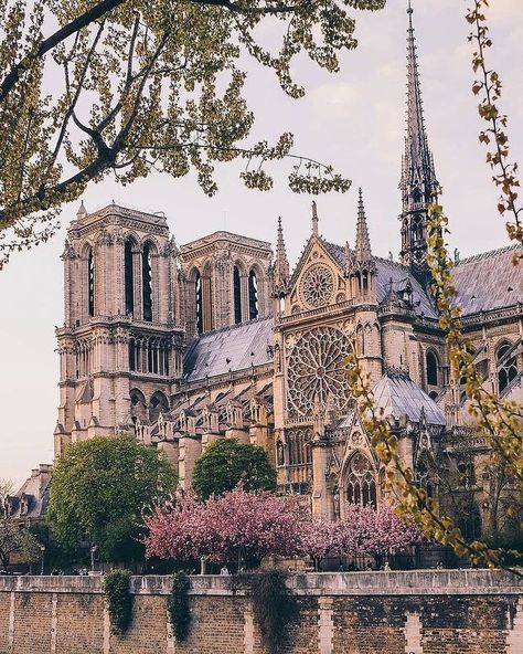 Farmhouse Homes 🏡 on Instagram: “The beautiful Notre Dame Cathedral. 🙏 Our thoughts and prayers go out to Paris and all of France today. 😞 (@wonguy974) . . • follow us…” Old Cathedral, Cathédrale Notre-dame, France Aesthetic, Paris Travel, France Travel, Travel Aesthetic, 그림 그리기, Dream Vacations, The River