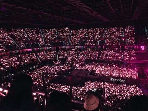 Blackpink Concert, Pin Search, Blackpink Photos, Concert, Pink