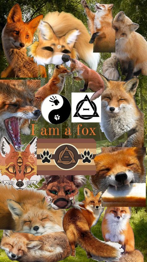 Feel free to use as a background ~ do not repost #fox #therian #therianthropy #background #fyp #foryoupage #foryou #beyourself #foxtherian Fox Background, Monkey Icon, Tim Burton Characters, Fox Pictures, Wild Animals Pictures, Maybe In Another Life, Wolf Wallpaper, Cat Mask, Cute Doodles Drawings