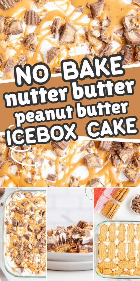 Nutter Butter Dessert Lasagna, Nutter Butter Ice Cream Cake, Nutter Butter Ice Box Cake, Nutty Butter Dessert, Nutter Butter Lasagna, Nutter Butter Cheesecake Recipes, Nutter Butter Dip, Nutter Butter Icebox Cake, Nutter Butter Lasagna Desserts