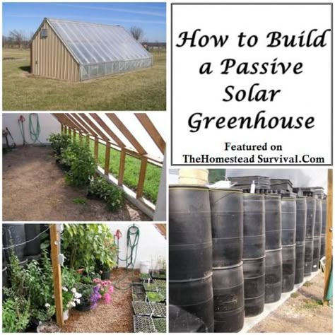 The Homestead Survival | How to Build a Passive Solar Greenhouse | http://thehomesteadsurvival.com - Gardening Passive Solar Greenhouse, Solar Greenhouse, Greenhouse Shed, Greenhouse Kit, Survival Gardening, Greenhouse Plans, Passive Solar, Aquaponics System, Diy Greenhouse