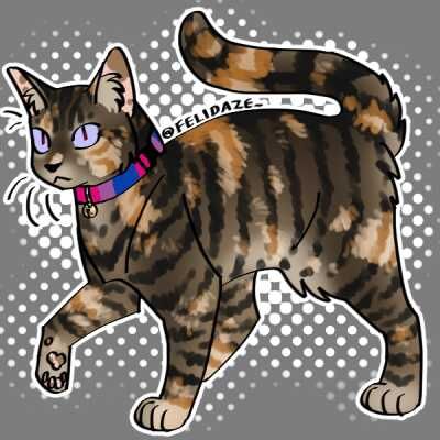 Picrew｜The make-and-play image maker Warrior Cats Oc Maker, Warrior Cats Picrew, Picrew Cat Maker, Pfp Maker Picrew, Cat Picrew, Oc Ideas Character Design, Cat Genetics, Oc Makers, Pfp Maker