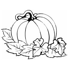 Pumpkin Coloring Sheet, Leaves Coloring, Pumpkin Coloring, Pumpkin Drawing, Thanksgiving Color, Pumpkin Printable, Pumpkin Coloring Pages, Thanksgiving Coloring Pages, Fall Coloring Pages