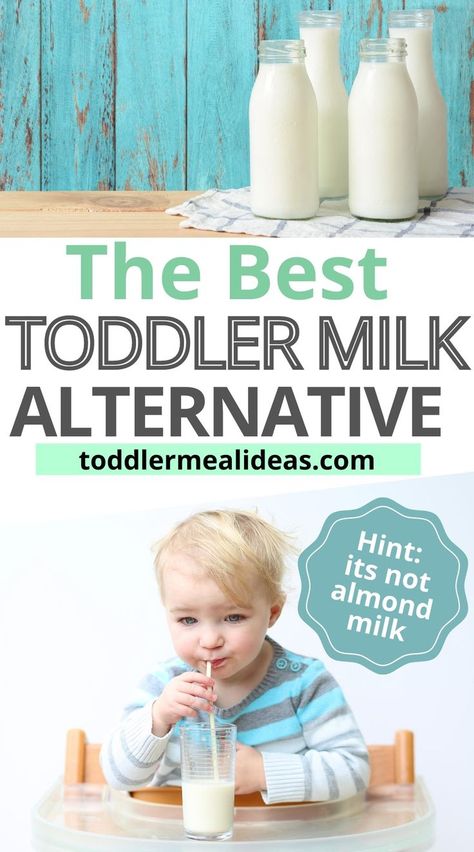 Almond Milk Benefits, Best Milk Alternative, Benefits Of Milk, Milk Replacement, Toddler Meal Ideas, Healthy Milk, Milk Allergy, Lactose Free Milk, Homemade Almond Milk