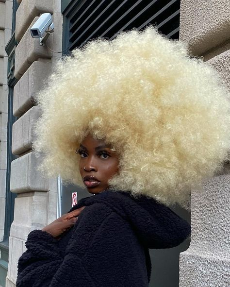 chocodamiix on Twitter: "Peng black girl… " White Afro, Blonde Afro, Dyed Natural Hair, Short Straight Hair, Elegant Hairstyles, Afro Hairstyles, Black Girls Hairstyles, Aesthetic Hair, Blonde Hair Color