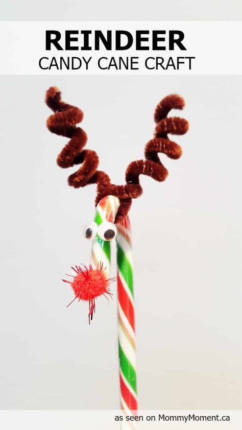 Candy Cane Craft, Reindeer Candy, Candy Cane Reindeer, Candy Cane Crafts, Reindeer Craft, Candy Crafts, Easy Christmas Crafts, Christmas Candy Cane, Christmas Crafts For Kids