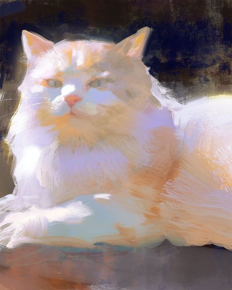 Home / Twitter Painterly Art, Silly Little Guy, Cute Little Drawings, Dog Paintings, Pastel Art, Cat Painting, Cat Drawing, Whimsical Art, Art Reference Photos