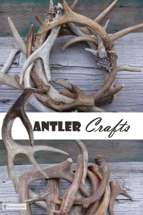 Diy Lodge Decor, Deer Antler Crafts Projects Diy, Antler Art Diy, Deer Antler Crafts Ideas, Deer Antler Crafts Diy, Antler Crafts Diy, Antler Display Ideas, Horn Decorations, Deer Horn Ideas