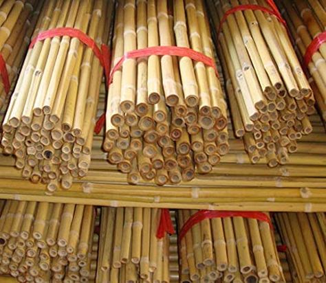 Amazon.com : GROW!T Hydrofarm HGBB450 4' Natural Bamboo Stake, 4 Foot(Pack of 50), Super Value 50 Pack : Patio, Lawn & Garden Bamboo Stakes, Moso Bamboo, Bamboo Poles, Bamboo Canes, Porch Makeover, Tiki Room, Parts Of A Plant, Plant Supports, Backyard Fun