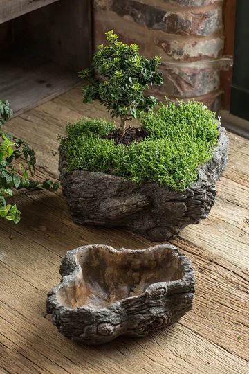 Tabletop Planters, Troughs & Cachepots – Page 3 – Modish Store Tiny Gardens, Kolam Air, Future Garden, Moss Covered, Cement Art, Victory Garden, Moss Garden, Cement Planters, Concrete Pots