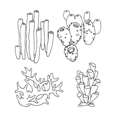 Um conjunto de esponjas marinhas e corai... | Premium Vector #Freepik #vector #coral #desenho-linha #elementos-mar #coral-mar Cnidaria, Premium Vector, Tote Bags, Coral, Tattoos, Design, Art