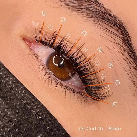 Hybrid Lash Map Eyelash Extensions Map Eyelash Extensions, Hybrid Lash Map, Eyelash Extensions Classic, Eyelash Extensions Care, Extensions Lashes, Hybrid Lashes, Eyelash Extensions Salons, Natural Fake Eyelashes, Lash Map