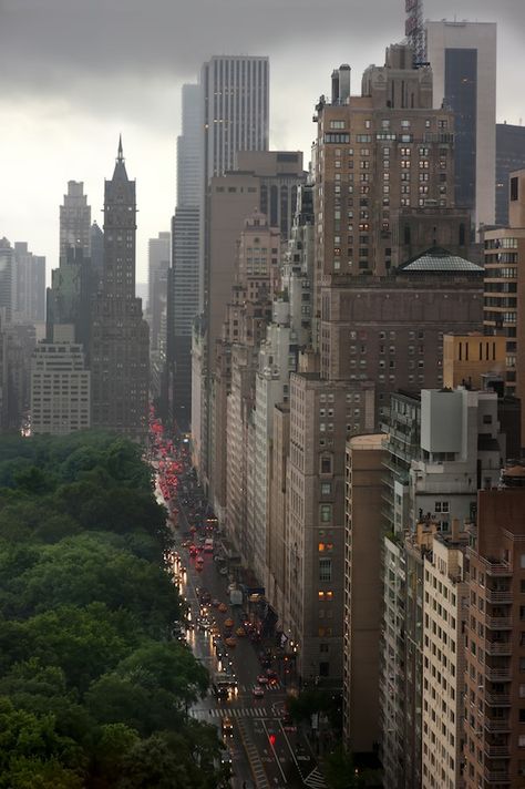 Central Park NYC | An Architectural View Tall Buildings, The City, Trees, New York