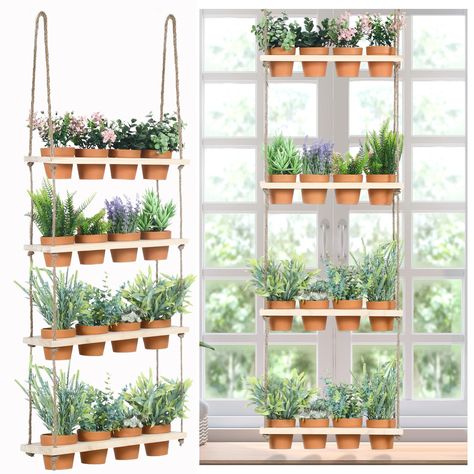 Window shelf for plants