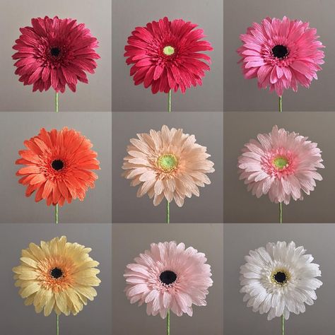 They're here! Gerber daisies have been added to my Etsy shop! #nectarhollow 🐝 Paper Botanicals, Crafting Flowers, Crepe Paper Crafts, Flowers Creative, Săpunuri Handmade, Gerber Daisy, Craft Flowers, Flower Bouquet Diy, Easy Paper Flowers