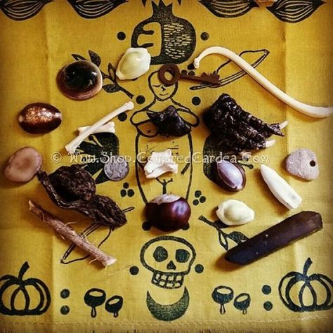 Bone Throwing Set-Starter Kit of 20 Items | Conjured Cardea Bone Throwing, High John The Conqueror, Bone Reading, Bone Casting, Buckeye Nut, King Cake Baby, Divination Methods, False Friends, Witch Candles