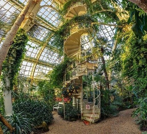 Solar Punk, Plants Growing, Earthship, Dream House Decor, Beautiful Architecture, Glass House, Nature Aesthetic, Fairy Core, Pretty Places