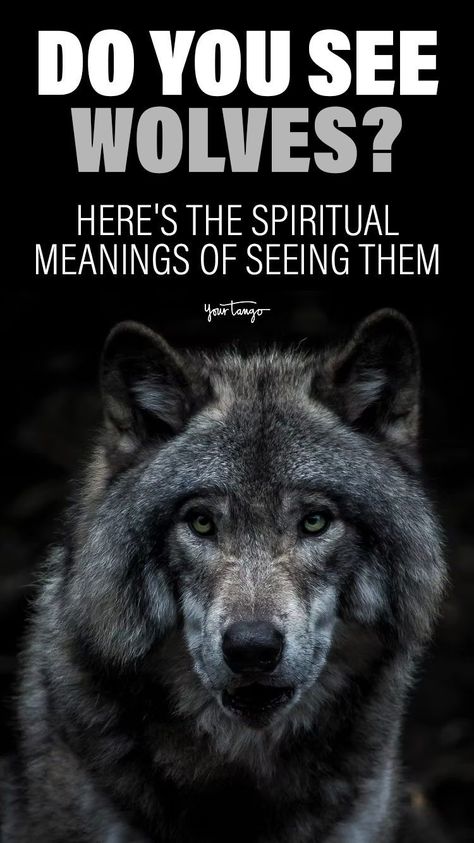 Wolf Spiritual Meaning, Wolf Symbolism Meaning, Spirit Animal Wolf, Spiritual Animal Meanings, Wolf Symbol, Black Wolf Tattoo, Wolf Meaning, White Wolf Tattoo, Wolf Symbolism